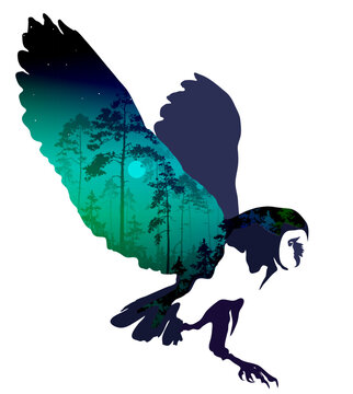 Silhouette of a flying owl, vector illustration, isolated object. Inside is a night forest.	