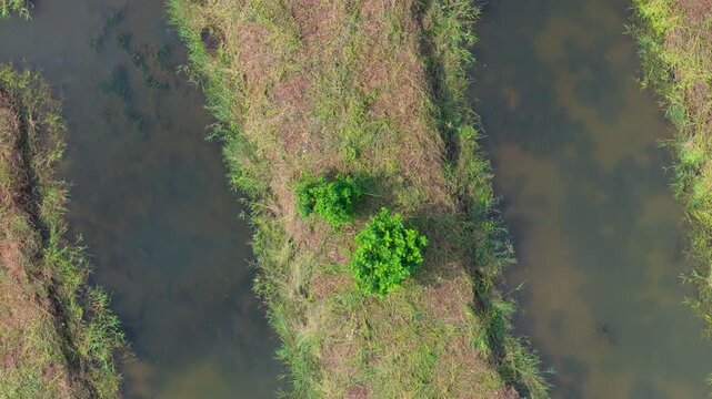 Aerial View of Cotai Ecological Reserve, Macau