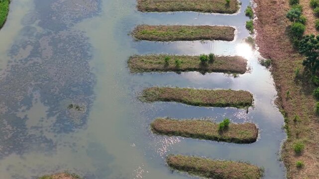 Aerial View of Cotai Ecological Reserve, Macau