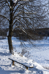 Fototapeta premium A snow covered wooden bench sits beneath a bare tree on a peaceful winter landscape. Soft sunlight highlights the snowdrifts and blue sky, evoking calm, solitude and countryside tranquility