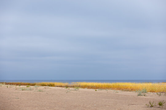 Calm coastal scene showing a sandy beach and golden dune grass along a quiet sea horizon under a soft cloudy blue sky, evoking solitude, serenity and minimal natural beauty