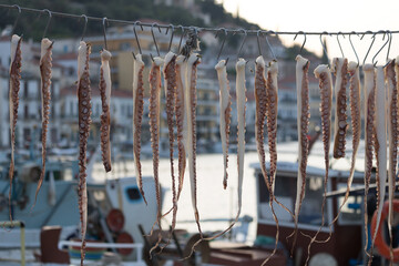 Close-up of octopus tentacles drying on hooks at a traditional harbor tavern in Gythio, Peloponnese, Greece. © Bill Lezos