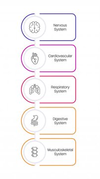 Anatomical biology study animated infographic with line icons. Holistic physical health map. Core biological framework chart. Clean flat motion graphic 5 step layout with outline elements animation