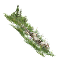 Fototapeta premium fern leaf isolated on white/High-resolution mountain meadow with sharp rocks, green grass, pine trees, and wildflowers isolated on white