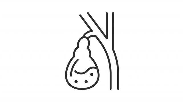 Animated gallbladder outline icon. Human anatomy animation. Digestive tract organ function. Internal wellness and gastroenterology. Flat line motion graphic loop on transparent white