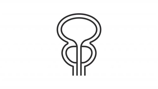 Animated prostate outline icon. Urological care animation. Bladder and prostate anatomy. Male body wellness. Internal organ system. Flat line motion graphic loop on transparent white
