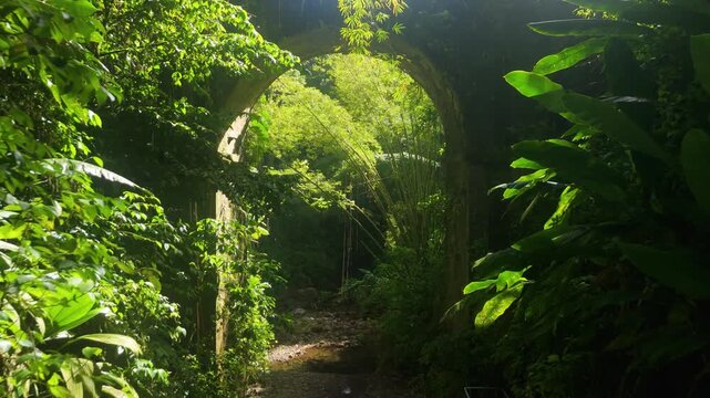 Sunlight streams through historic stone arch of Pont d'Absalon as camera pushes in along forest stream surrounded by lush green jungle in Martinique - aerial push in shot