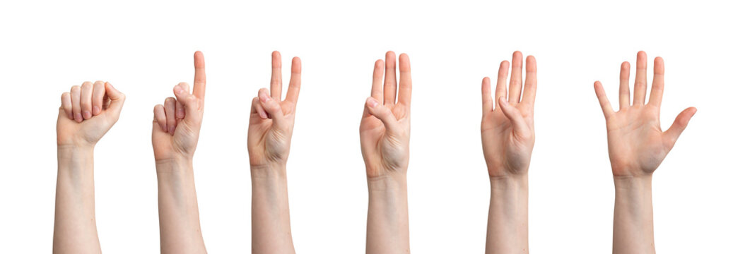 Fingers counting from zero, one, two, three, four to five numbers, hand gesture isolated on white