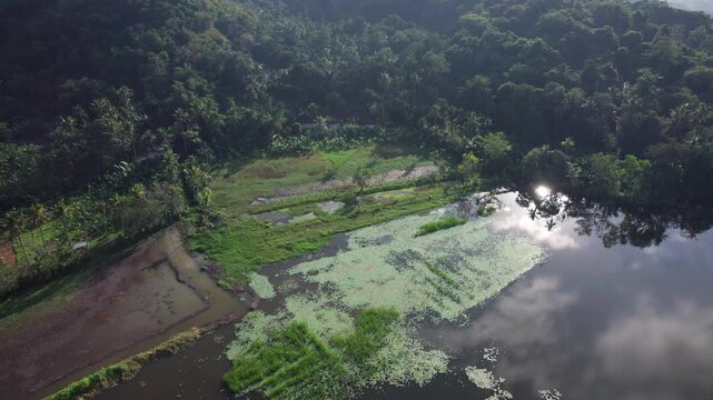 Aerial view of Danau Yeh Malet surrounded by lush tropical vegetation and trees in Kecamatan Manggis, Bali, Indonesia.