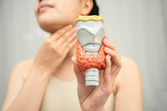 Hyperthyroidism, Overactive Thyroid, Thyroid Lymphoma, Asian woman with thyroid gland human anatomy model.