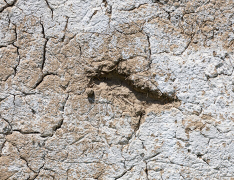 Cracked earth shows deep, rugged fissures