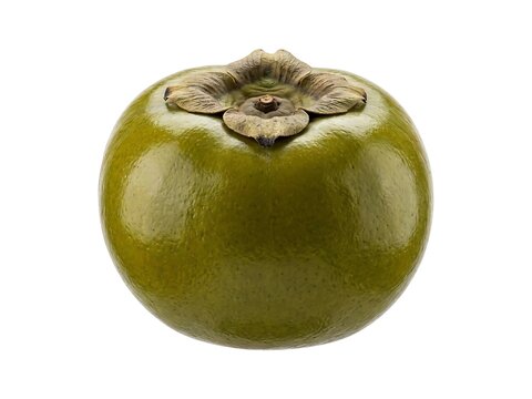 Fresh Whole Green Persimmon Fruit on White Background