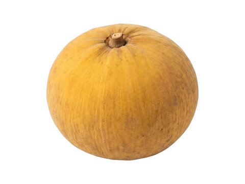 Whole Round Ripe Santol Cotton Fruit on White Background