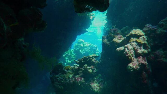 Sun beams mystically Illuminating the coral walls and bottom in the underwater cave, Slow motion, Diving in a coral and caves and canyons, adventure and marine caves exploration concept
