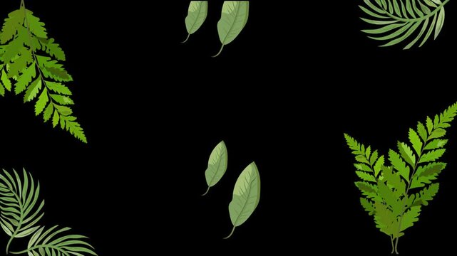 Green fern leaves and tropical foliage animation on a black background