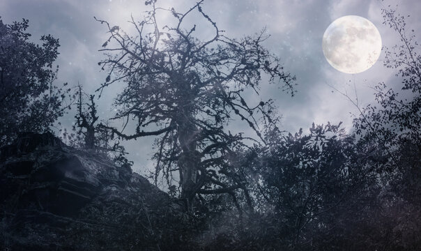 halloween night background with moon and dead trees in forest