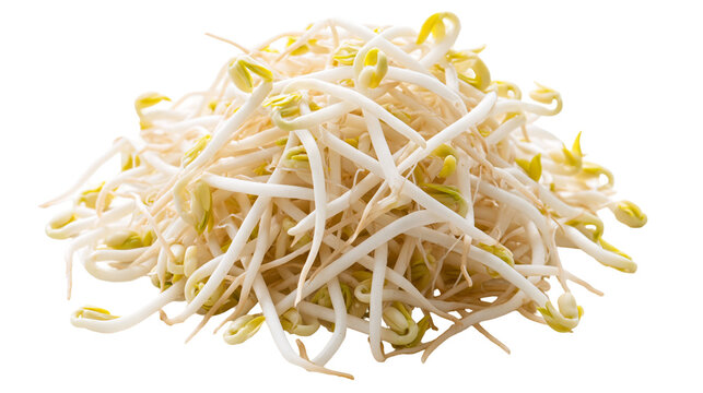 Fresh raw mung bean sprouts heap