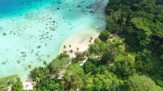 Drone View of Hana Iti Beach, Huahine Island, French Polynesia. Secret White Sand Shore Under Green Rainforest