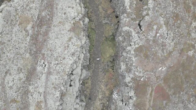 Aerial view of a deep tectonic rift cutting through rugged volcanic rock and mossy terrain in Iceland.