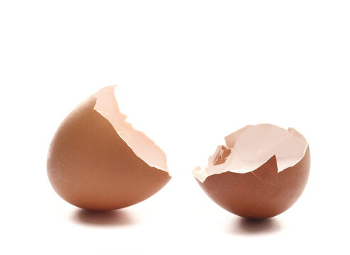 Cracked empty eggshell isolated on white background, side view