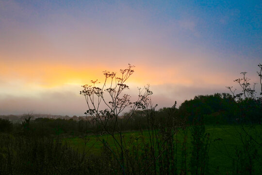Atmospheric silhouette of dried autumn wildflowers in a meadow at dawn. A low-angle landscape shot showing the delicate, branching silhouette of a wild Apiaceae (carrot family).