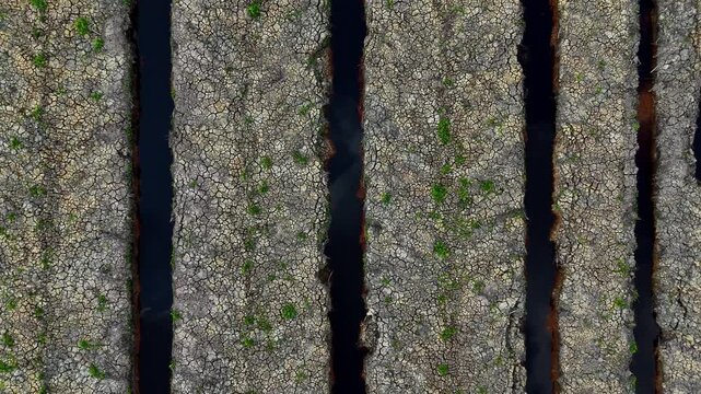 Aerial view of cracked dry peatland with parallel drainage canals in Barito Kuala Regency, South Kalimantan, Indonesia.