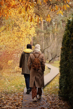 Couple walking on wooden patch in autumnal Park, natural background. beautiful atmospheric melancholic autumn landscape with walking people. fall season. rear view