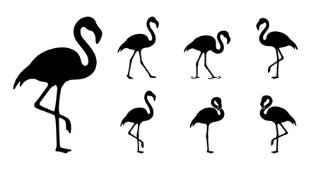 Obraz premium Flamingo silhouettes set with birds in various poses, tropical wildlife for design