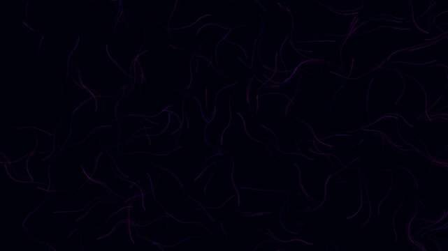 Abstract Purple Filament Lines on Dark Background