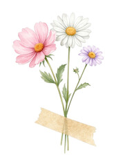 Fototapeta premium PNG Watercolor illustration of three delicate flowers taped together.