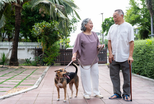 A happy senior couple enjoys a relaxed walk with their pet dog near home in a peaceful residential garden. The image highlights healthy aging, companionship, and an active retirement lifestyle