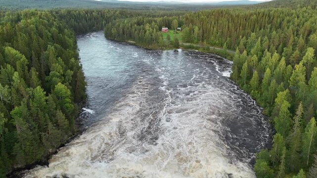 Aerial drone flyover shot of F&auml;llforsen waterfall and white water rapids on the Pite river surrounded by evergreen pine forest in Norrbotten, Sweden. Traditional Swedish red house on the riverbank 