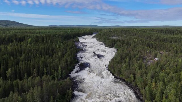 High altitude aerial drone shot flying forward over Storforsen whitewater rapids on Pite River in Norrbotten, Sweden. 