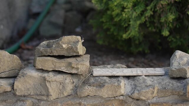 Flat natural stone pedestal on ancient rock wall with evergreen cypress foliage, slow motion backdrop for organic cosmetic product display