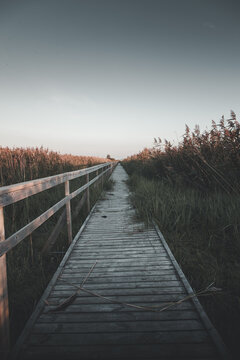 View of the wooden boardwalk winding through the tall reeds of the Orjaku nature trail in Orjaku, Hiiu County, Estonia.