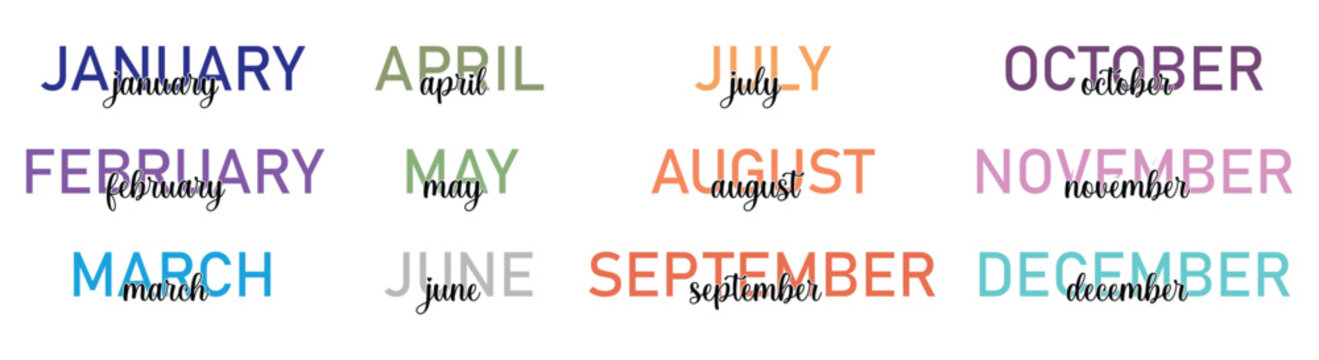 Colorful month of the year lettering. 12 month script for planner and calendar element. Vector illustration