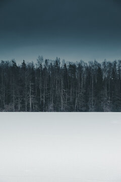 View of the Jussi Nature Trail featuring a snow-covered frozen lake bordered by a dense, dark forest of pine and birch trees under a moody winter sky, Pillapalu, Harju County, Estonia.