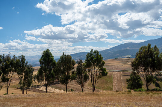 Huancayo, Peru (Per&uacute;) : Eucalyptus trees cross a broad agricultural landscape of harvested fields and mountains near Cochas. The view shows the dry-season countryside of Jun&iacute;n.