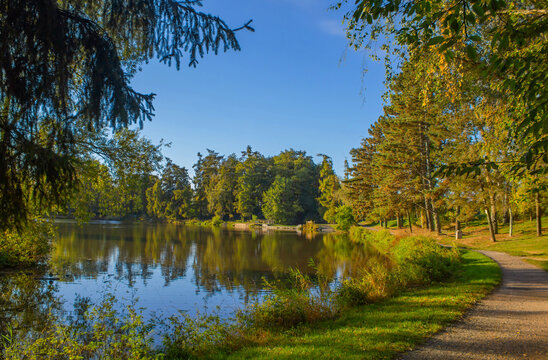 Close-up shot of an autumn landscape featuring a pond, forest reflections, and a blue sky.