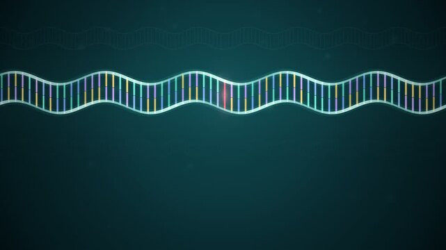 DNA Base Editing Enzyme Correcting a Single Faulty Base Pair Animation