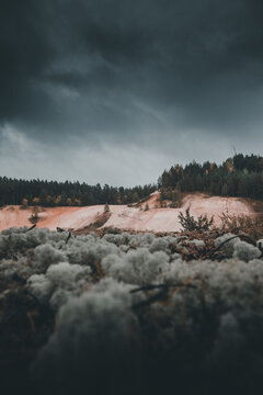 View of the sandy landscape of the Piusa caves with mossy foreground, pine forest backdrop, and a dramatic cloudy sky in Piusa, Voru County, Estonia.