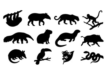 Fototapeta premium Rainforest wildlife silhouette set of jungle animals vector