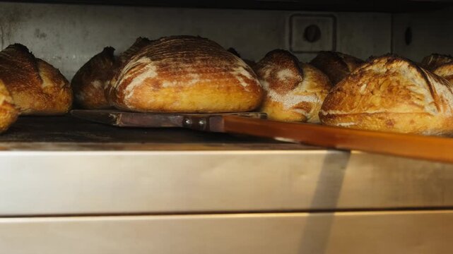 Artisan bread loaves rotate across hot deck oven during baking process. Baker turns crusty rounds sliding each loaf back toward heated chamber