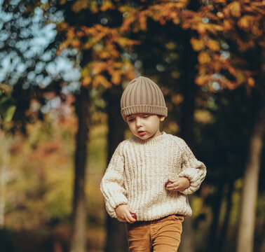 Little boy in cozy knit sweater and hat walking outdoors in autumn park