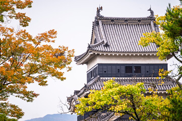 Matsumoto Castle or Crow Castle in Matsumoto city in Nagano, Japan Matsumoto Castle is an old historic castle in japan © lukyeee_nuttawut