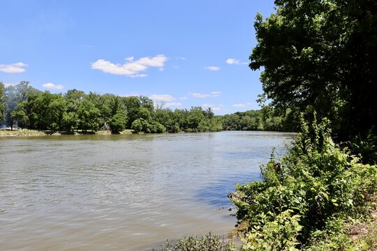 The flowing river in the woods on a sunny day.