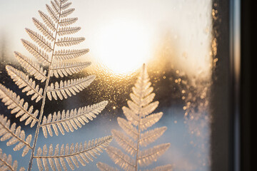 Frost fern patterns on a window pane backlit by golden winter sun © Flori