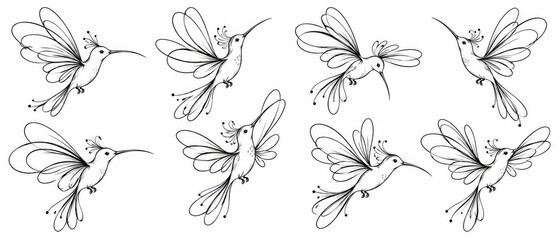 Fototapeta premium Hand Drawn Bird Illustration Collection