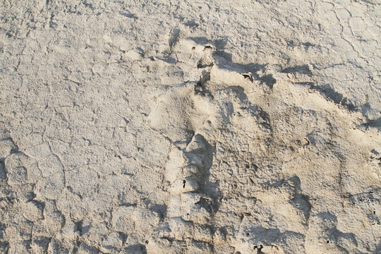 Cracked and dried earth of the Salton sea tell a cautionary tale about climate change and evaporation 