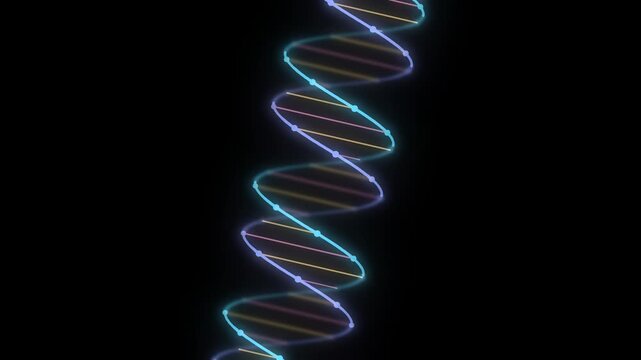 Glowing neon DNA double helix rotating steadily on its vertical axis at the center of a black background, with cyan and magenta backbones bound by thin yellow and orange base pair rungs
